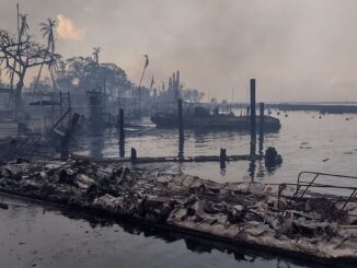 A burnt boat stands on the scorched waterfront as wildfires wreak havoc on the city of Lahaina in Maui, Hawaii. Image: Mason Jarvi via Reuters